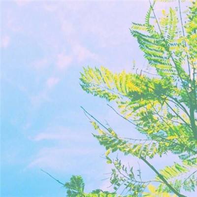 半岛手机网页版登录入口