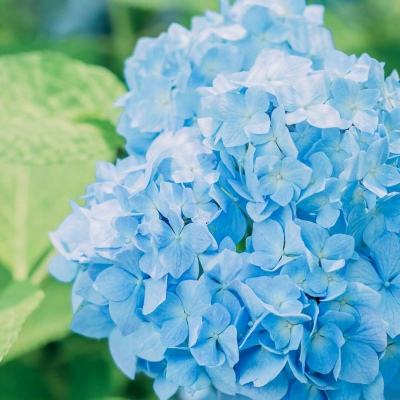 亚虎娱乐app下载