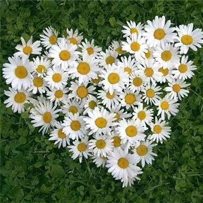 im电竞官方网站手机app下载